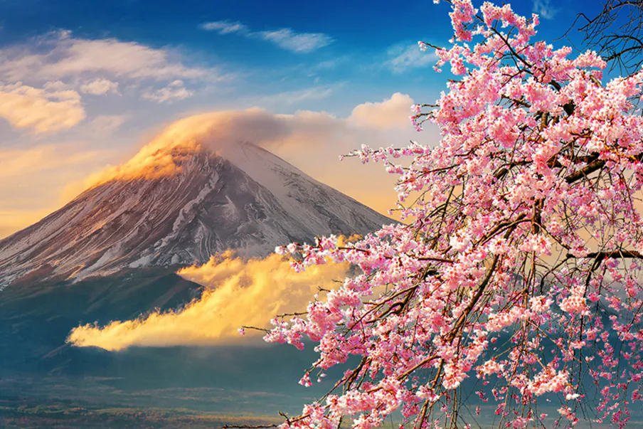 Reisezeit Japan Starts Spring, Malediven Starts Dry Season Comparisons