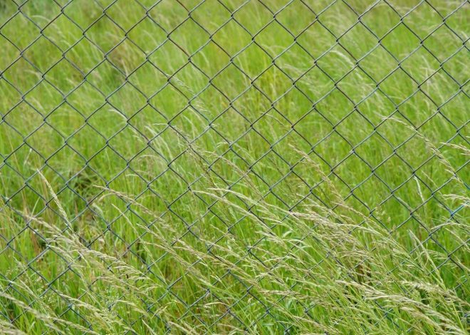 Advantages of Using Agricultural Fencing
