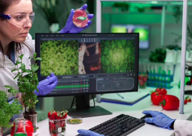 The Transformative Benefits of Nanotechnology in Modern Agriculture