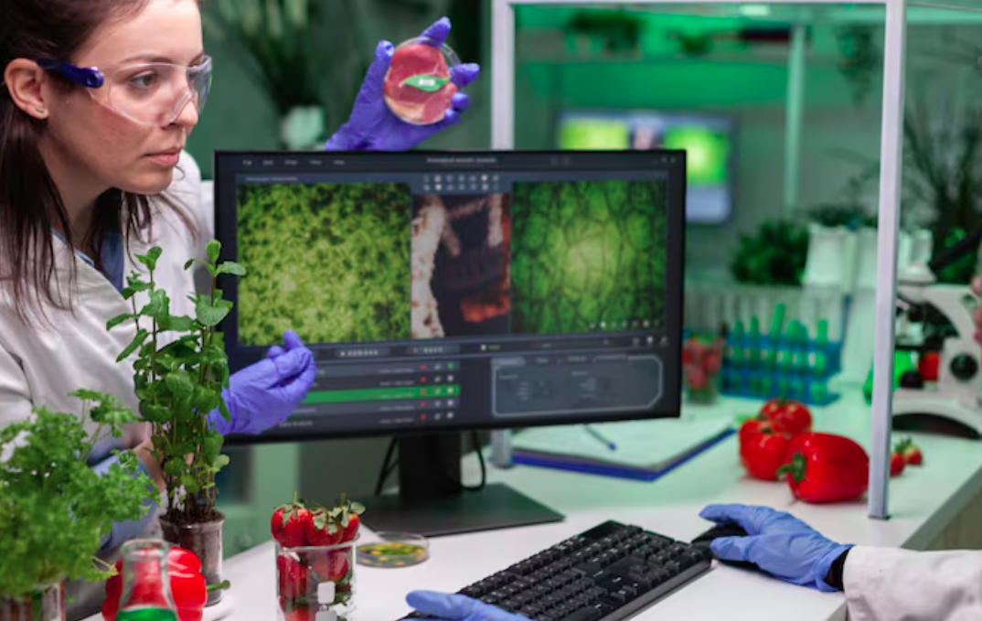 The Transformative Benefits of Nanotechnology in Modern Agriculture